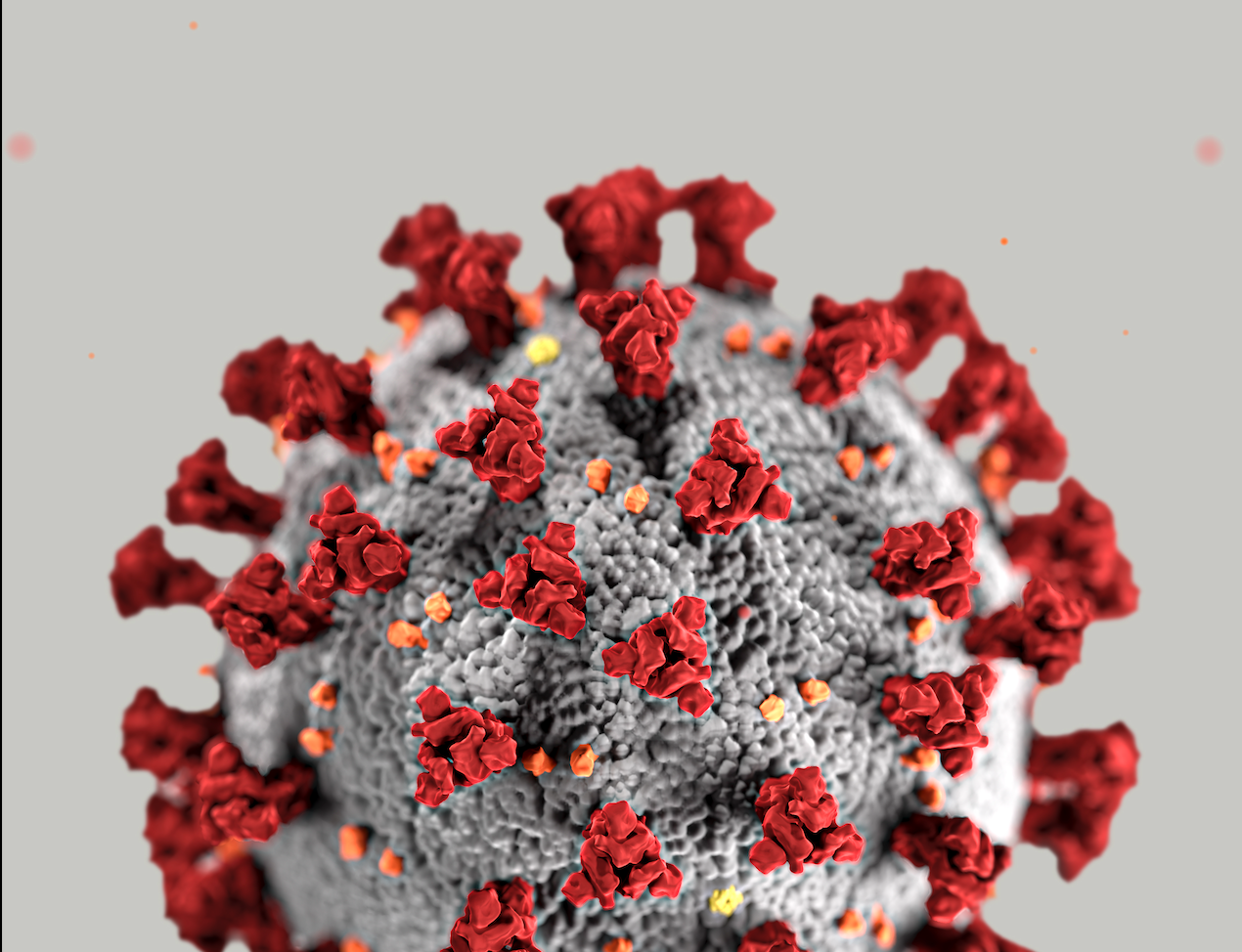 É falso que vacinas contra covid-19 causem “síndrome pós-spike”