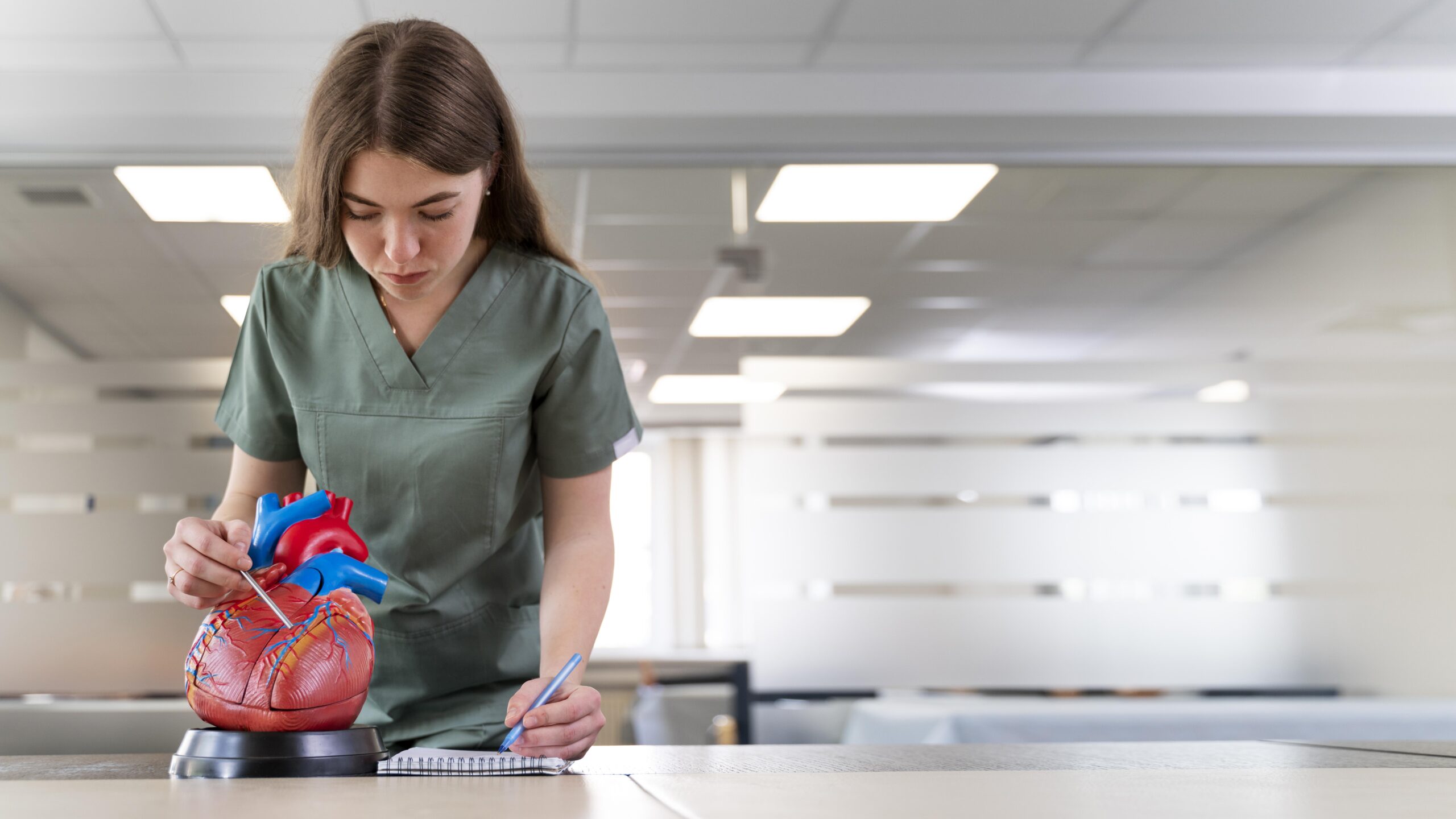 Cardiomiopatia hipertrófica: quando o coração cresce em silêncio e a ciência tenta mudar o rumo da doença